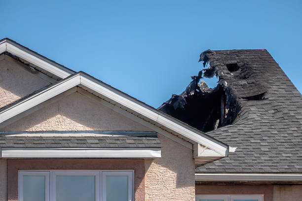 Top rated local Odor Removal specialists in Garrett Park, MD